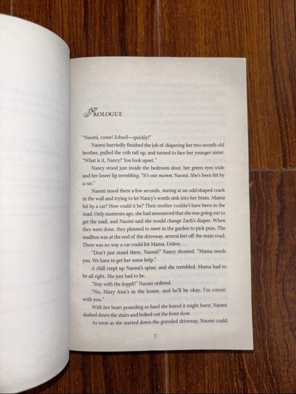 📚2 Book Bundle - Wanda E. Brunstetter | Daughters of Lancaster County Series - Picture 4 of 5